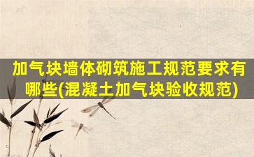 加气块墙体砌筑施工规范要求有哪些(混凝土加气块验收规范)