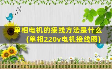 单相电机的接线方法是什么(单相220v电机接线图)