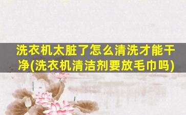 洗衣机太脏了怎么清洗才能干净(洗衣机清洁剂要放毛巾吗)