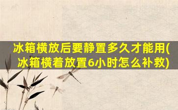 冰箱横放后要静置多久才能用(冰箱横着放置6小时怎么补救)