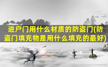 进户门用什么材质的防盗门(防盗门填充物是用什么填充的最好)