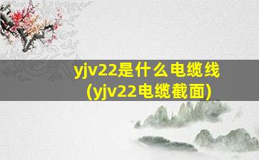 yjv22是什么电缆线(yjv22电缆截面)