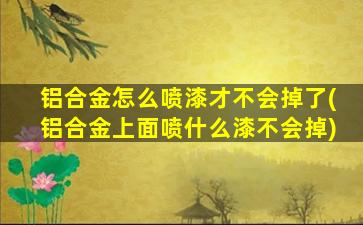 铝合金怎么喷漆才不会掉了(铝合金上面喷什么漆不会掉)