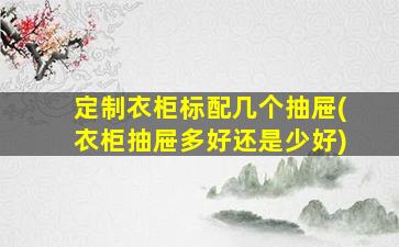 定制衣柜标配几个抽屉(衣柜抽屉多好还是少好)