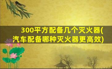 300平方配备几个灭火器(汽车配备哪种灭火器更高效)