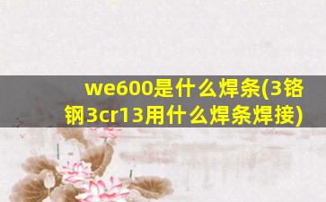 we600是什么焊条(3铬钢3cr13用什么焊条焊接)