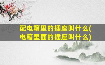 配电箱里的插座叫什么(电箱里面的插座叫什么)