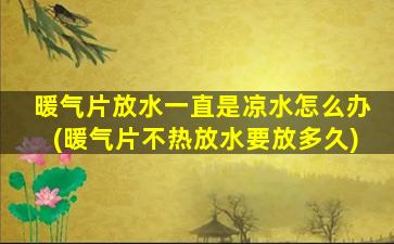 暖气片放水一直是凉水怎么办(暖气片不热放水要放多久)