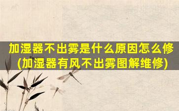 加湿器不出雾是什么原因怎么修(加湿器有风不出雾图解维修)