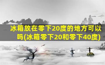 冰箱放在零下20度的地方可以吗(冰箱零下20和零下40度)