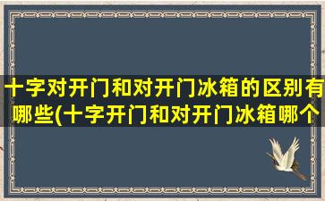 十字对开门和对开门冰箱的区别有哪些(十字开门和对开门冰箱哪个好)