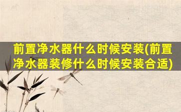 前置净水器什么时候安装(前置净水器装修什么时候安装合适)