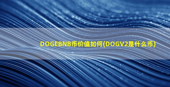 DOGEBNB币价值如何(DOGV2是什么币)