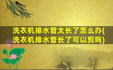 洗衣机排水管太长了怎么办(洗衣机排水管长了可以剪吗)