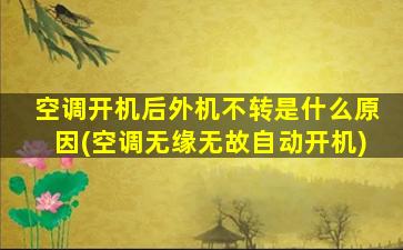 空调开机后外机不转是什么原因(空调无缘无故自动开机)