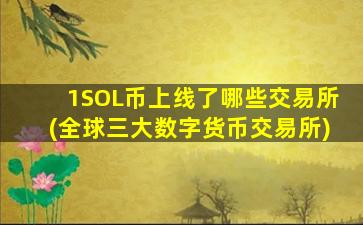 1SOL币上线了哪些交易所(全球三大数字货币交易所)