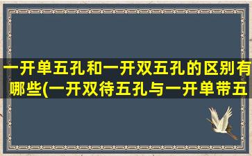 一开单五孔和一开双五孔的区别有哪些(一开双待五孔与一开单带五孔的区别)