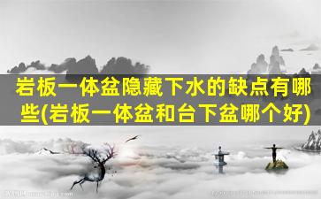 岩板一体盆隐藏下水的缺点有哪些(岩板一体盆和台下盆哪个好)
