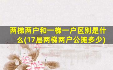 两梯两户和一梯一户区别是什么(17层两梯两户公摊多少)