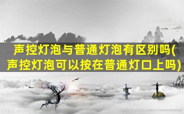 声控灯泡与普通灯泡有区别吗(声控灯泡可以按在普通灯口上吗)