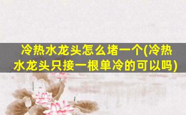 冷热水龙头怎么堵一个(冷热水龙头只接一根单冷的可以吗)