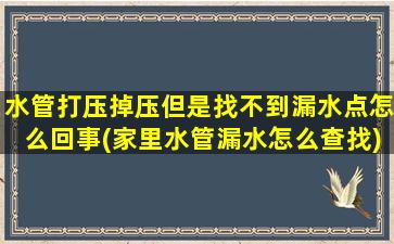水管打压掉压但是找不到漏水点怎么回事(家里水管漏水怎么查找)