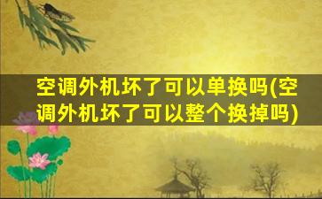 空调外机坏了可以单换吗(空调外机坏了可以整个换掉吗)