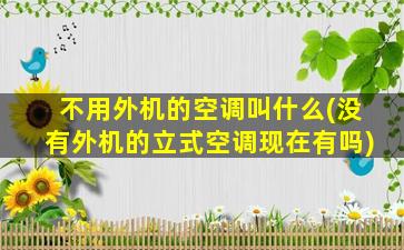 不用外机的空调叫什么(没有外机的立式空调现在有吗)