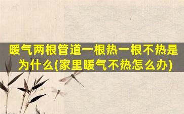 暖气两根管道一根热一根不热是为什么(家里暖气不热怎么办)