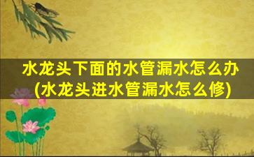水龙头下面的水管漏水怎么办(水龙头进水管漏水怎么修)