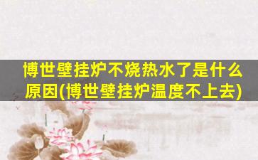 博世壁挂炉不烧热水了是什么原因(博世壁挂炉温度不上去)