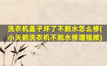 洗衣机盖子坏了不脱水怎么修(小天鹅洗衣机不脱水修理视频)