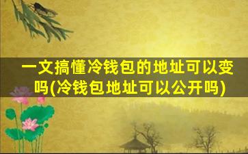 一文搞懂冷钱包的地址可以变吗(冷钱包地址可以公开吗)