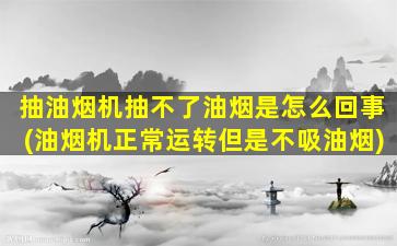 抽油烟机抽不了油烟是怎么回事(油烟机正常运转但是不吸油烟)