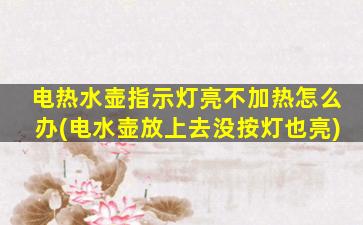 电热水壶指示灯亮不加热怎么办(电水壶放上去没按灯也亮)