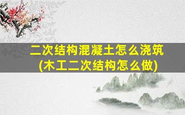 二次结构混凝土怎么浇筑(木工二次结构怎么做)