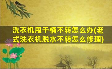 洗衣机甩干桶不转怎么办(老式洗衣机脱水不转怎么修理)