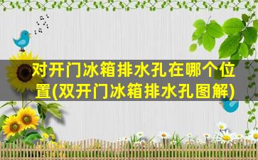 对开门冰箱排水孔在哪个位置(双开门冰箱排水孔图解)