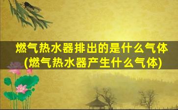 燃气热水器排出的是什么气体(燃气热水器产生什么气体)