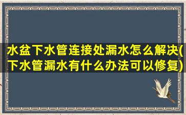 水盆下水管连接处漏水怎么解决(下水管漏水有什么办法可以修复)