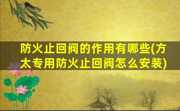 防火止回阀的作用有哪些(方太专用防火止回阀怎么安装)