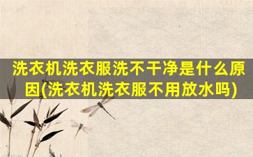洗衣机洗衣服洗不干净是什么原因(洗衣机洗衣服不用放水吗)