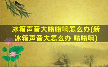 冰箱声音大嗡嗡响怎么办(新冰箱声音大怎么办 嗡嗡响)