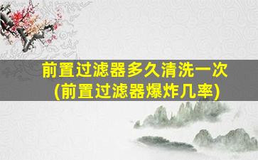 前置过滤器多久清洗一次(前置过滤器爆炸几率)