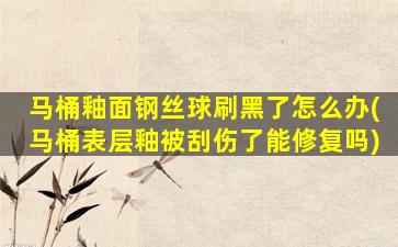 马桶釉面钢丝球刷黑了怎么办(马桶表层釉被刮伤了能修复吗)