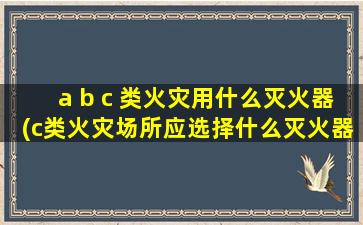 a b c 类火灾用什么灭火器(c类火灾场所应选择什么灭火器)