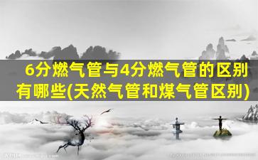 6分燃气管与4分燃气管的区别有哪些(天然气管和煤气管区别)