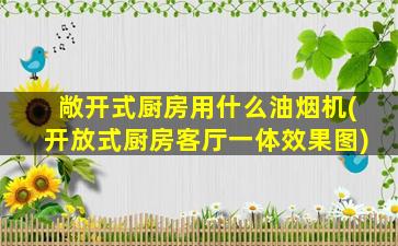 敞开式厨房用什么油烟机(开放式厨房客厅一体效果图)
