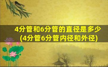 4分管和6分管的直径是多少(4分管6分管内径和外径)
