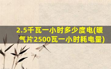2.5千瓦一小时多少度电(暖气片2500瓦一小时耗电量)